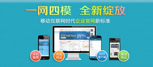 石家莊網絡推廣軟件怎么樣誠信企業